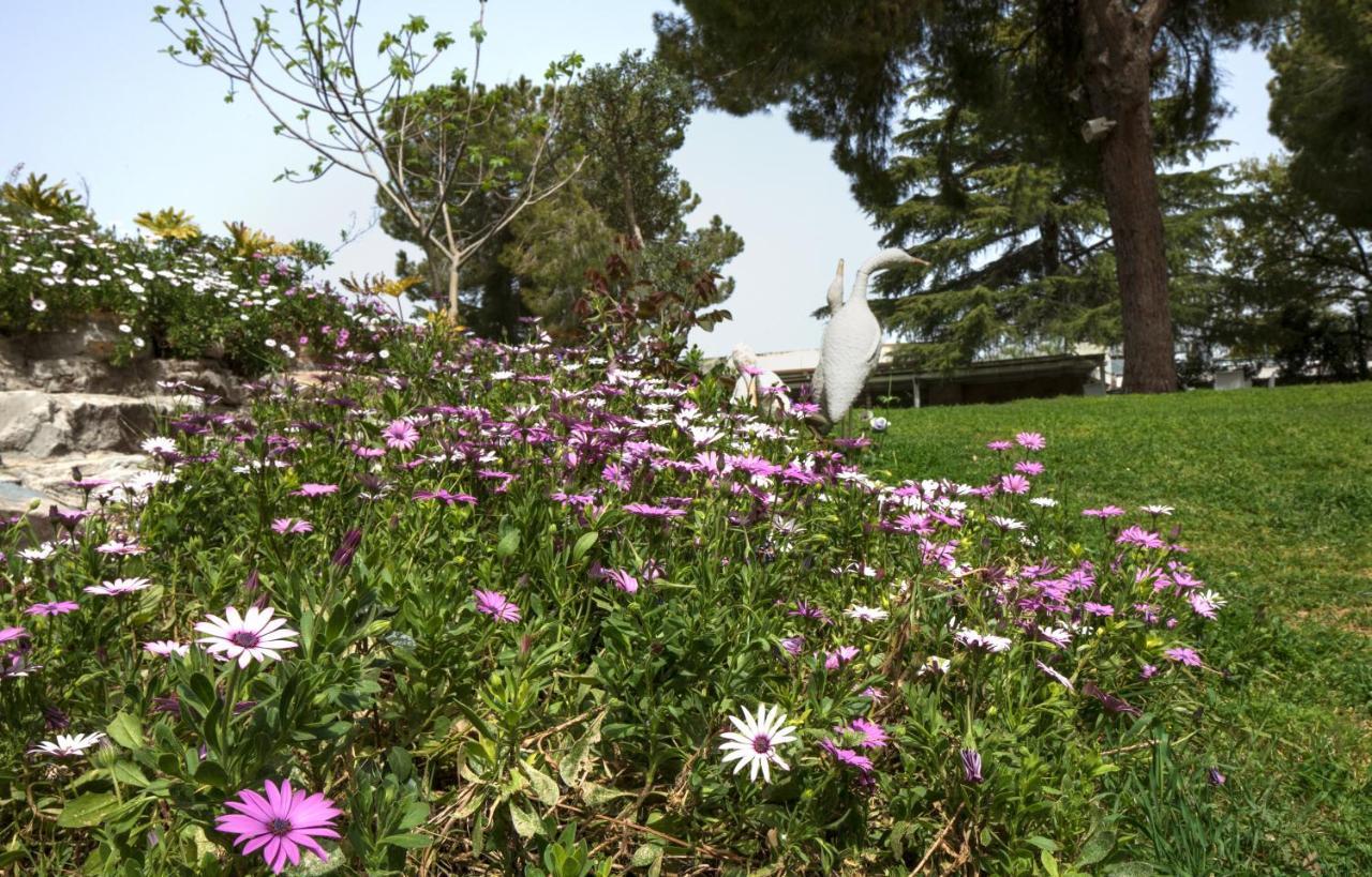 Hacienda Forest View Hotel Ma'alot-Tarshiha Exterior foto